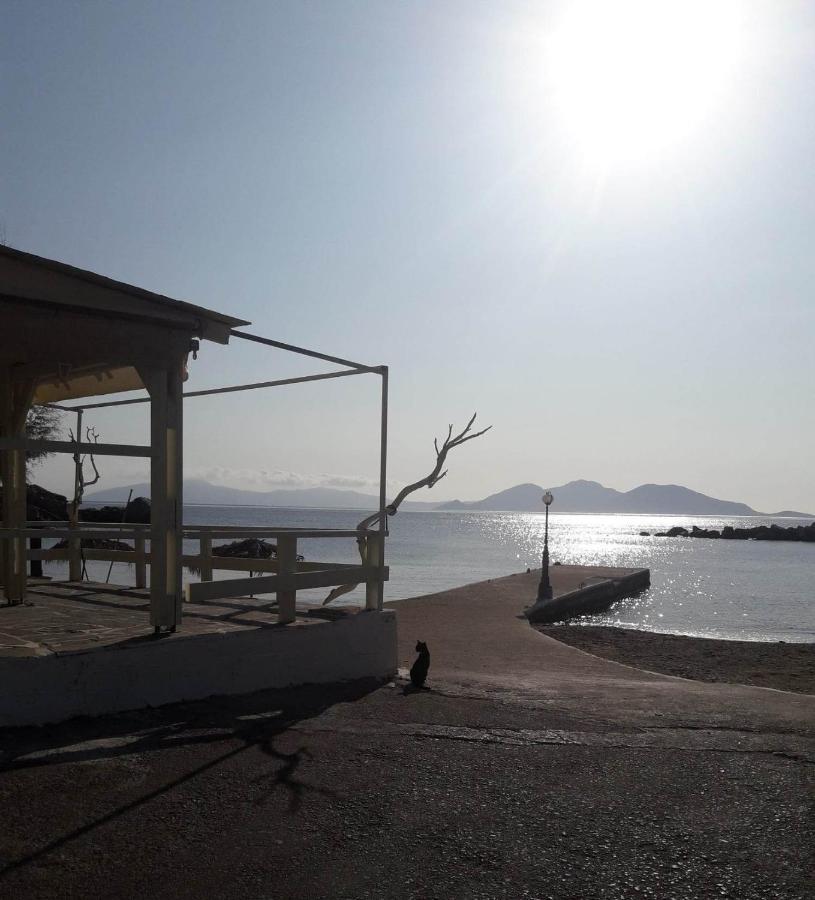 Hotel Rena Agios Kirykos  Bagian luar foto